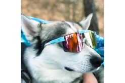 Lunettes Pit Viper The Gobby Polarized Single Wide -Équipement De Vélo lunettes pit viper the gobby polarized single wide 4