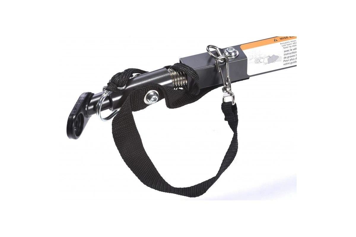 Remorque De Transport Enfant P&A Eco+ 11 Remorque De Transport Enfant P&A Eco+ – Image 9