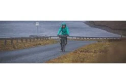 Sacoche De Fourche Apidura Expedition Fork Pack -Équipement De Vélo sacoche de fourche apidura expedition fork pack 5