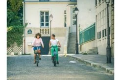 Vélo Cargo Mixte Jean Fourche - Nexus 7 Vitesses Internes -Équipement De Vélo velo cargo mixte jean fourche nexus 7 vitesses internes 10