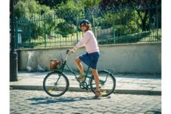 Vélo Cargo Mixte Jean Fourche - Nexus 7 Vitesses Internes -Équipement De Vélo velo cargo mixte jean fourche nexus 7 vitesses internes 11