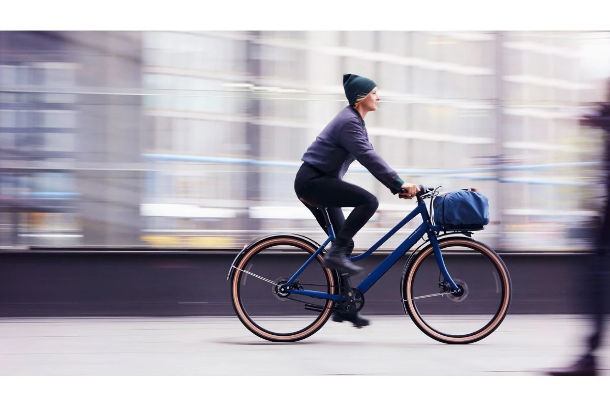 Vélo Cargo Urbain Schindelhauer Greta 7 Vélo Cargo Urbain Schindelhauer Greta – Image 5