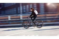 Vélo Cargo Urbain Schindelhauer Greta 28 Vélo Cargo Urbain Schindelhauer Greta -Équipement De Vélo velo cargo urbain schindelhauer greta 6