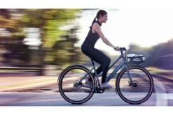 Vélo Cargo Urbain Schindelhauer Greta 29 Vélo Cargo Urbain Schindelhauer Greta -Équipement De Vélo velo cargo urbain schindelhauer greta 7