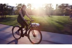 Vélo Cargo Urbain Schindelhauer Greta 30 Vélo Cargo Urbain Schindelhauer Greta -Équipement De Vélo velo cargo urbain schindelhauer greta 8