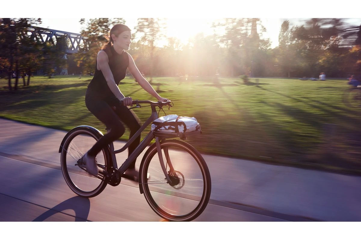 Vélo Cargo Urbain Schindelhauer Greta 11 Vélo Cargo Urbain Schindelhauer Greta – Image 9