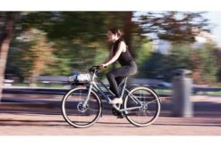 Vélo Cargo Urbain Schindelhauer Greta 31 Vélo Cargo Urbain Schindelhauer Greta -Équipement De Vélo velo cargo urbain schindelhauer greta 9