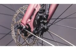 Vélo Cargo Urbain Schindelhauer Gustav Moonlight Rose Limited Edition 30 Vélo Cargo Urbain Schindelhauer Gustav Moonlight Rose Limited Edition -Équipement De Vélo velo cargo urbain schindelhauer gustav moonlight rose limited edition 12