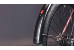 Vélo Cargo Urbain Schindelhauer Gustav Moonlight Rose Limited Edition 31 Vélo Cargo Urbain Schindelhauer Gustav Moonlight Rose Limited Edition -Équipement De Vélo velo cargo urbain schindelhauer gustav moonlight rose limited edition 13