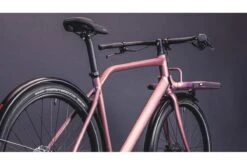 Vélo Cargo Urbain Schindelhauer Gustav Moonlight Rose Limited Edition 33 Vélo Cargo Urbain Schindelhauer Gustav Moonlight Rose Limited Edition -Équipement De Vélo velo cargo urbain schindelhauer gustav moonlight rose limited edition 15