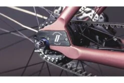 Vélo Cargo Urbain Schindelhauer Gustav Moonlight Rose Limited Edition 21 Vélo Cargo Urbain Schindelhauer Gustav Moonlight Rose Limited Edition -Équipement De Vélo velo cargo urbain schindelhauer gustav moonlight rose limited edition 3