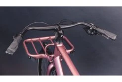 Vélo Cargo Urbain Schindelhauer Gustav Moonlight Rose Limited Edition 24 Vélo Cargo Urbain Schindelhauer Gustav Moonlight Rose Limited Edition -Équipement De Vélo velo cargo urbain schindelhauer gustav moonlight rose limited edition 6