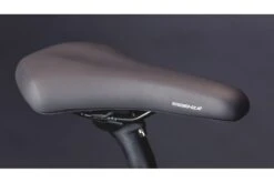 Vélo Cargo Urbain Schindelhauer Gustav Moonlight Rose Limited Edition 25 Vélo Cargo Urbain Schindelhauer Gustav Moonlight Rose Limited Edition -Équipement De Vélo velo cargo urbain schindelhauer gustav moonlight rose limited edition 7