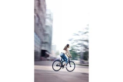 Vélo De Ville Schindelhauer Lotte 29 Vélo De Ville Schindelhauer Lotte -Équipement De Vélo velo de ville schindelhauer lotte 7