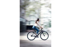 Vélo De Ville Schindelhauer Lotte 30 Vélo De Ville Schindelhauer Lotte -Équipement De Vélo velo de ville schindelhauer lotte 8