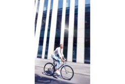 Vélo De Ville Schindelhauer Ludwig XIV -Équipement De Vélo velo de ville schindelhauer ludwig xiv 14