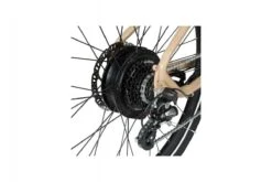 Vélo électrique Aventon Pace 250 Step Over - 2021 12 Vélo électrique Aventon Pace 250 Step Over - 2021 -Équipement De Vélo velo electrique aventon pace 250 step over 2021 4