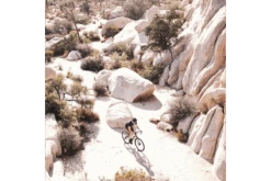 Vélo Gravel Aventon Kijote - Charcoal Skid -Équipement De Vélo velo gravel aventon kijote charcoal skid 2