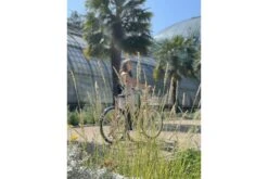 Vélo Urbain électrique Voltaire Courcelles -Équipement De Vélo velo urbain electrique voltaire courcelles 7