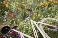 Vélo Urbain InFiné Cycles Flâneuse - Crème 28 Vélo Urbain InFiné Cycles Flâneuse - Crème -Équipement De Vélo velo urbain infine cycles flaneuse creme 10